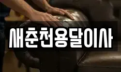 새춘천용달이사