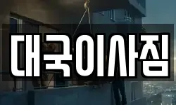 대국이사짐