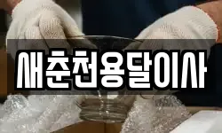 새춘천용달이사