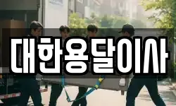 대한용달이사