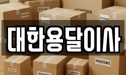 대한용달이사