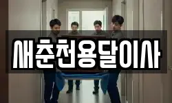 새춘천용달이사
