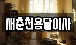 새춘천용달이사
