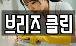 브리즈 클린