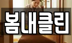 봄내클린