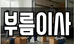부름이사