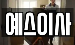 예스이사