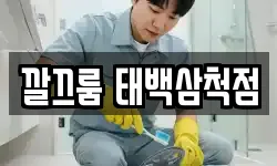 깔끄룸 태백삼척점