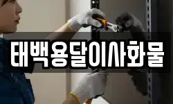 태백용달이사화물
