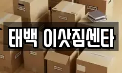 태백 이삿짐센타