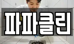 파파클린