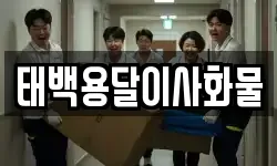 태백용달이사화물