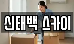 신태백 스카이