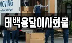 태백용달이사화물