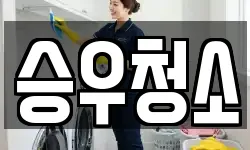 승우청소