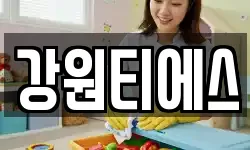 강원티에스