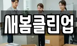새봄클린업