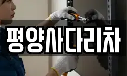 강원특별자치도 평창군 대화면 이사,용달이사,포장이사,원룸이사,보관이사