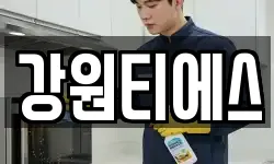 강원티에스