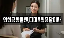 인천공항콜밴,다마스퀵용달이사