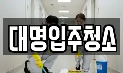 대명입주청소