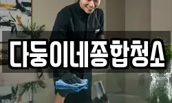 다둥이네종합청소