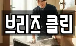 브리즈 클린