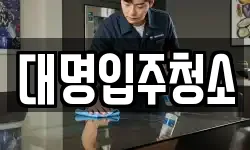 대명입주청소