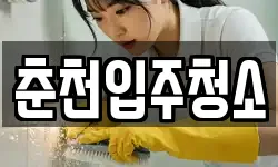 춘천입주청소