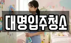 대명입주청소