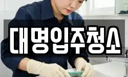 대명입주청소