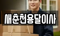 새춘천용달이사