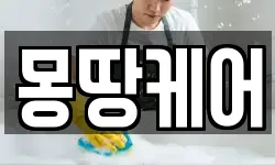 몽땅케어