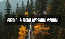 용달이사,원룸이사,사무실이사,소형이사