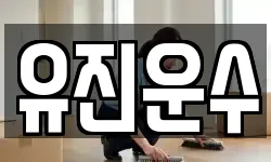 유진운수