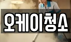 오케이청소