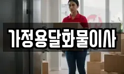 가정용달화물이사