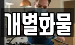 개별화물