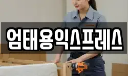 엄태용익스프레스