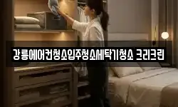 강릉에어컨청소입주청소세탁기청소 크리크린