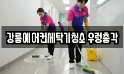강릉에어컨세탁기청소 우렁총각