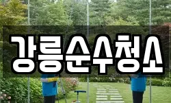 강릉순수청소