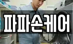 파파손케어