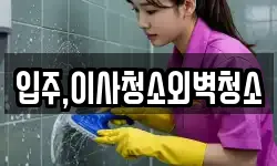 입주,이사청소외벽청소