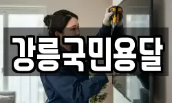 강릉국민용달