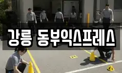 강릉 동부익스프레스