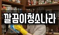 깔끔이청소나라