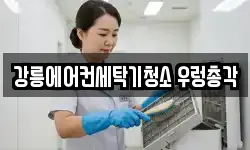 강릉에어컨세탁기청소 우렁총각