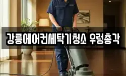 강릉에어컨세탁기청소 우렁총각