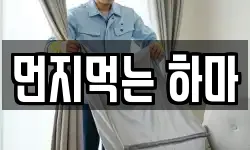 먼지먹는 하마